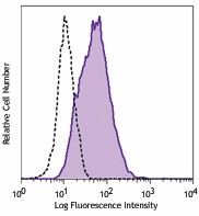 Purified anti-human VEGFR-3 (FLT-4) Antibody (356201)