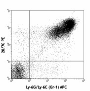 PE anti-mouse CD88 (C5aR) Antibody (135805)