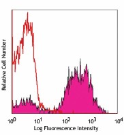 PE anti-mouse CD80 Antibody (104707)
