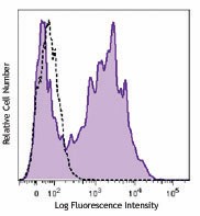 Biotin anti-human PSMA (FOLH1) Antibody (342510)