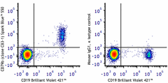 Spark Blue™ 550 anti-human CD79b (Igβ) Antibody (341435)