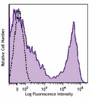 Brilliant Violet 605™ anti-rat CD90/mouse CD90.1 (Thy1.1) Antibody (202537)