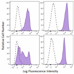 Brilliant Violet 650™ anti-mouse CD155 (PVR) Antibody (131521)