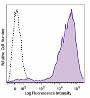 PE/Dazzle™ 594 anti-mouse/human CD11b Antibody (101255)
