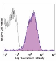 PE anti-human Notch 1 Antibody (352105)