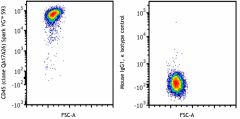 Spark YG™ 593 anti-mouse CD45 Recombinant Antibody (157623)