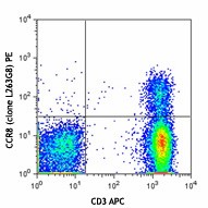 PE anti-human CD198 (CCR8) Antibody (360603)