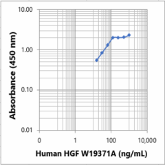 Purified anti-human HGF Antibody (613152)