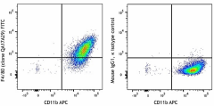 FITC anti-mouse F4/80 Recombinant Antibody (157309)