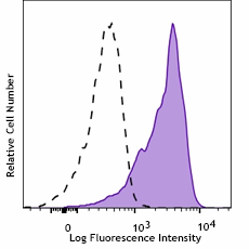 Purified anti-human IRF1 Antibody (332902)