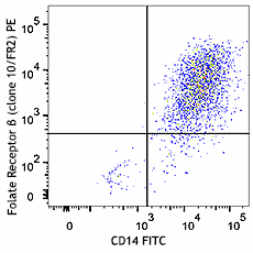 PE anti-mouse Folate Receptor β (FR-β) Antibody (153303)