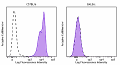 Biotin anti-mouse H-2D b Antibody (111504)