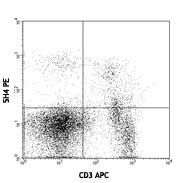 PE anti-mouse CD122 (IL-2Rβ) Antibody (105905)