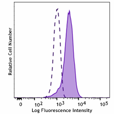 Purified anti-GATA4 Antibody (948601)