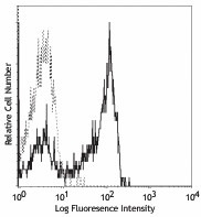 FITC anti-human CD27 Antibody (302805)