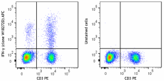 APC anti-mouse IFN-γ Antibody (163513)