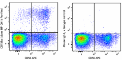 Purified anti-human CD158a (KIR2DL1) Antibody (374902)