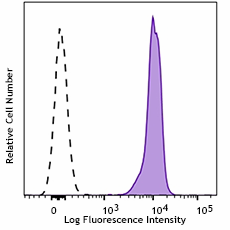 Purified anti-mouse CD45.2 Recombinant Antibody (111102)