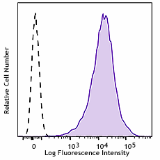 PE/Cyanine7 anti-human CCX-CKR (CCRL1) Antibody (362107)