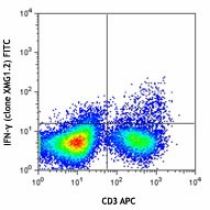 FITC anti-mouse IFN-γ Antibody (505805)