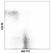 FITC anti-mouse CD19 Antibody (115505)