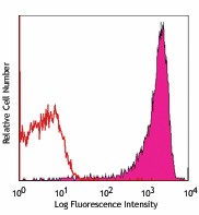 PerCP anti-rat CD90/mouse CD90.1 (Thy1.1) Antibody (202512)