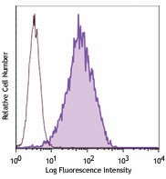 Purified anti-mouse CD300LG (Nepmucin) Antibody (147102)