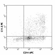 PE anti-human IL-12/IL-23 p40 (monomer, dimer, heterodimer) Antibody (501806)