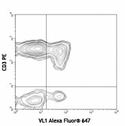 Alexa Fluor® 647 anti-human RANTES (CCL5) Antibody (515505)