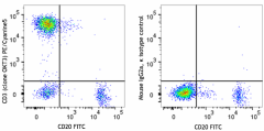 PE/Cyanine5 anti-human CD3 Antibody (317355)
