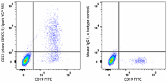 Spark YG™ 593 anti-human CD23 Antibody (338531)