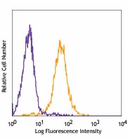Pacific Blue™ anti-mouse H-2Kb Antibody (116513)