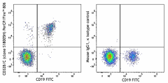 PerCP/Fire™ 806 anti-human CD32B/C Antibody (398333)
