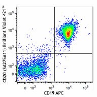 Brilliant Violet 421™ anti-mouse CD20 Antibody (150405)
