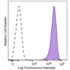 PE anti-human CD158z (KIR3DL3) Antibody (334911)