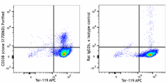 Purified anti-mouse CD338 (ABCG2) Antibody (164302)