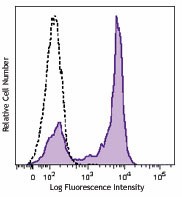 Brilliant Violet 570™ anti-human CD27 Antibody (302825)