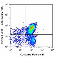 Purified anti-mouse CD184 (CXCR4) Antibody (146502)
