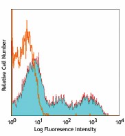 APC anti-human Perforin Antibody (308111)