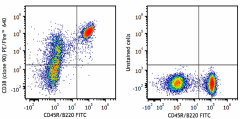 PE/Fire™ 640 anti-mouse CD38 Antibody (102743)