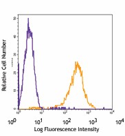 Pacific Blue™ anti-mouse CD90.2 (Thy1.2) Antibody (105323)