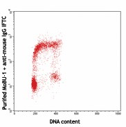 Purified anti-BrdU Antibody (317902)