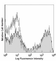 Biotin anti-mouse/human CD11b Antibody (101203)