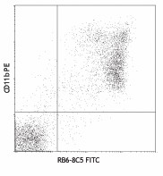 FITC anti-mouse Ly-6G/Ly-6C (Gr-1) Antibody (108405)