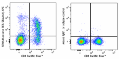 APC anti-mouse/human SEMA4A Antibody (148405)