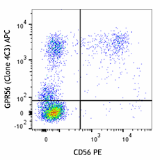 APC anti-human GPR56 Antibody (391905)