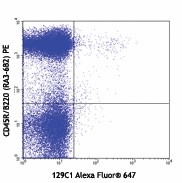 Alexa Fluor® 647 anti-mouse CD317 (BST2, PDCA-1) Antibody (127105)