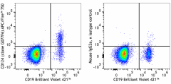 APC/Fire™ 750 anti-human CD124 (IL-4Rα) Antibody (355021)
