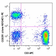 PE anti-human CX3CR1 Antibody (355703)
