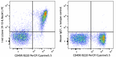 PE anti-mouse I-Ad Recombinant Antibody (166905)